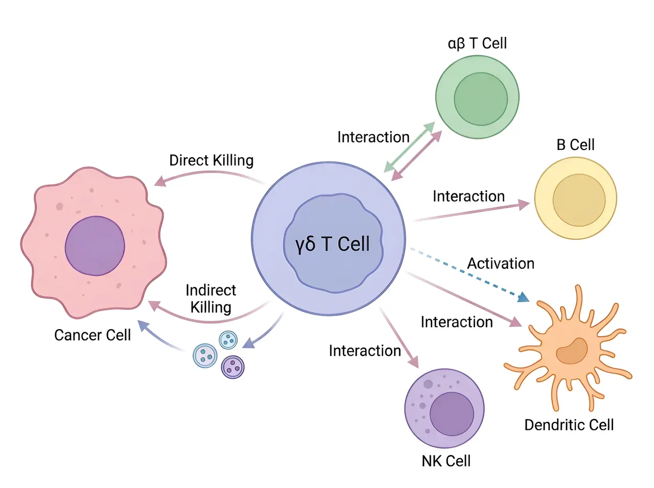 Biology · Immunology